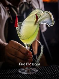 Brand Photography & Videography