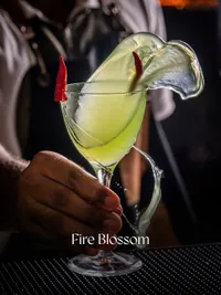 Brand Photography & Videography