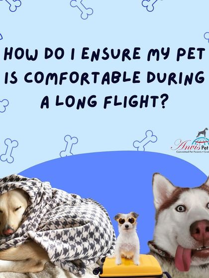 Anvis - Pet Relocation Preparing for Travel: Health, Safety & Documentation photo 40