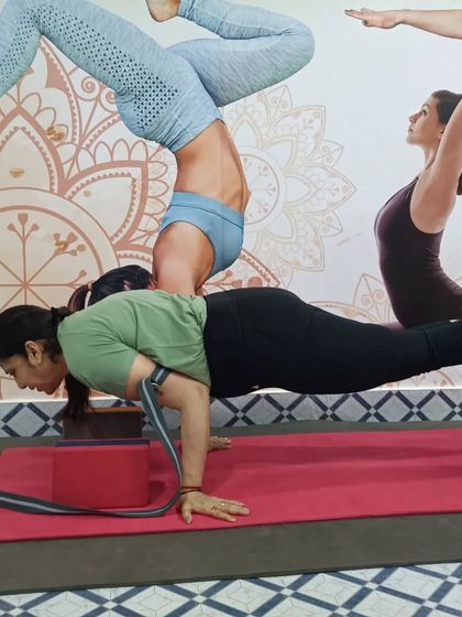 A student practices Mayurasana (Peacock Pose) with the support of yoga blocks and a strap. This is a great way to build the necessary arm and core strength for the full pose.