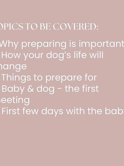 Nitika Ahlawat - Dog and Child Safety & Integration Online Workshops & Training photo 4