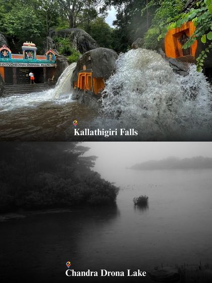 Chikmagalur also offers spiritual and serene spots like the Kallathigiri Falls with its temple and the misty Chandra Drona Lake.