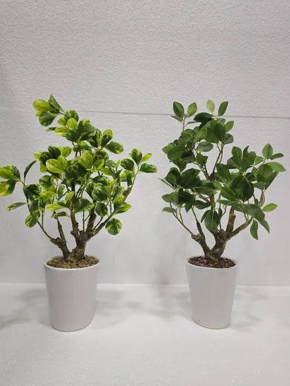 A pair of small artificial plants in clean white pots, one with variegated leaves and one with solid green leaves.