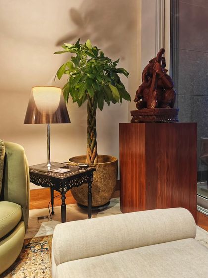 Placing a tall plant next to a lamp is a great design trick. During the day, this braided Pachira adds life to the corner, and at night, it creates a dramatic play of shadows on the walls.