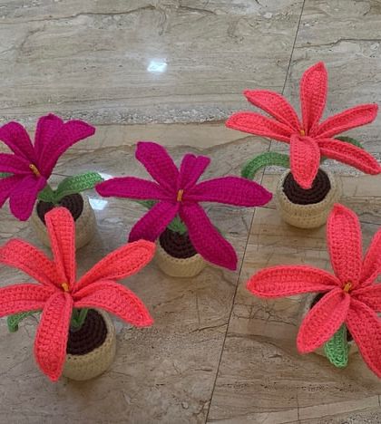 Bulk Orders for Events photo 6