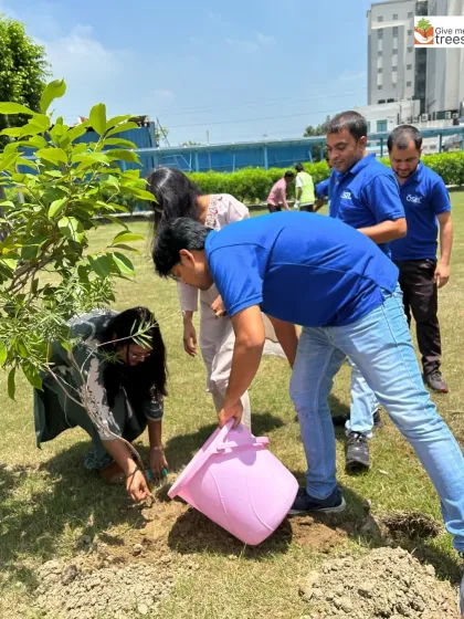 Partnering with the Rotary Club to green an industrial area in Greater Noida. Bringing trees to these pollution hotspots helps improve air quality and creates a better working environment for thousands of people.