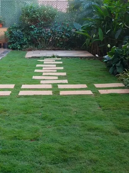 Another example of a clean and simple stone path. This T-shaped design provides easy access across the lawn to different parts of the garden.