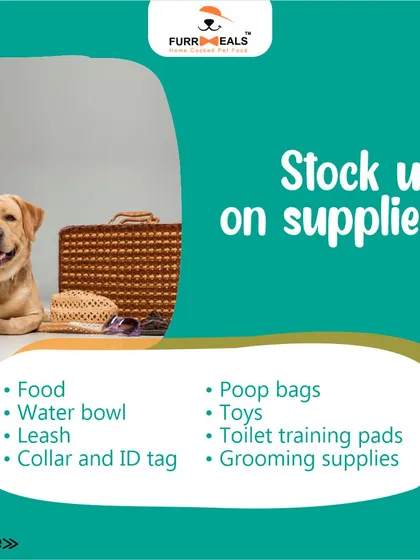 This extensive library of educational content covers everything a pet parent needs to know, from the benefits of turmeric and moringa to tips for hydration, sleep, dental health, and raising a new puppy.