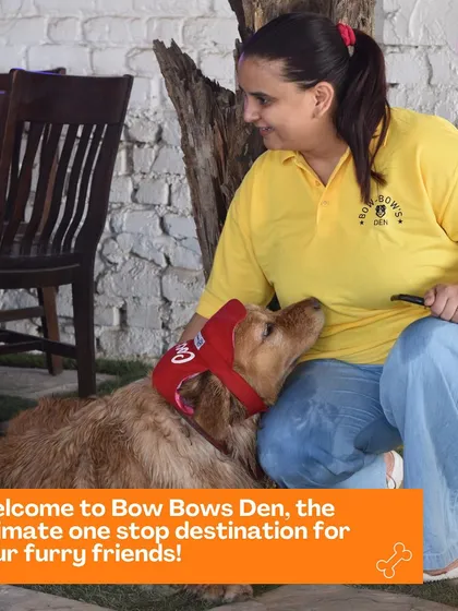 We're Manpreet and team, and this is more than a business for us; it's our passion. Here, every dog gets personal attention and affection, just like our own. We make sure every guest, like this sweet Golden Retriever, feels loved and secure during their stay.