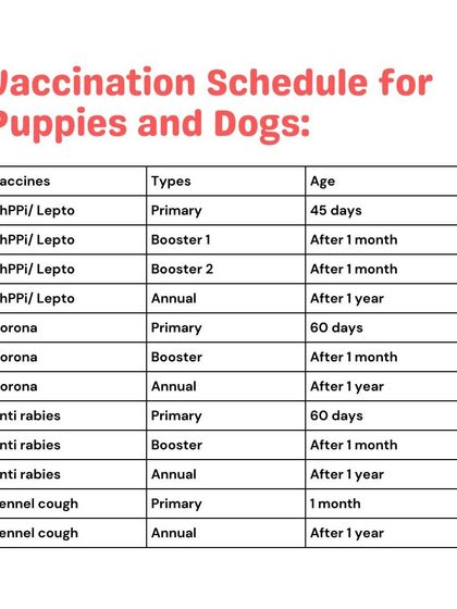 Woofly - Home Veterinary Services At-Home Vaccinations & Deworming photo 10