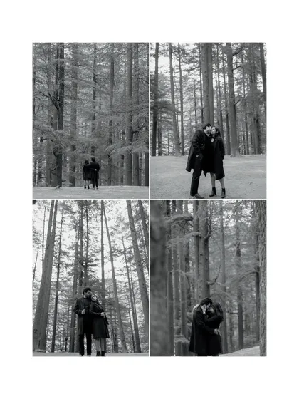 A four-panel black and white collage from a Manali forest shoot. The composition highlights the beautiful, repeating patterns of the pine trees and the couple's intimate poses.