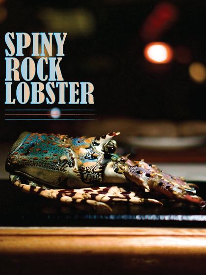 Lupa - European Fine Dining From Source to Plate: Our Commitment to Quality photo 7