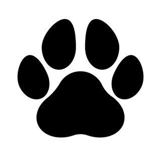 Karnataka Top Quality Pets