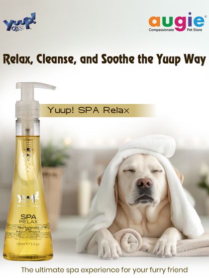 Augie Pets - Pet Grooming Services Shampoos & Conditioners for Every Coat photo 18