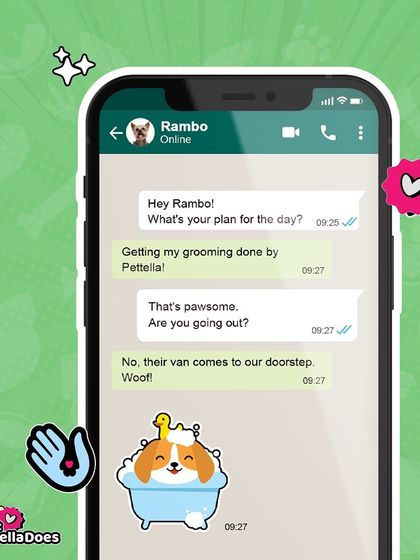 Pettella - Mobile Pet Grooming Our Mobile Salon: The Van in Action photo 7