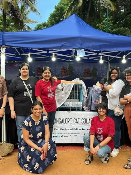 Thank you to Pugmarks for helping us with our 41st camp! It was a joy working with such a professional and friendly team to find homes for our cats.