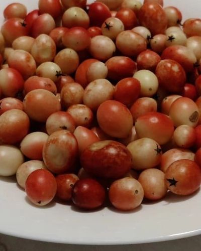 Panjiri