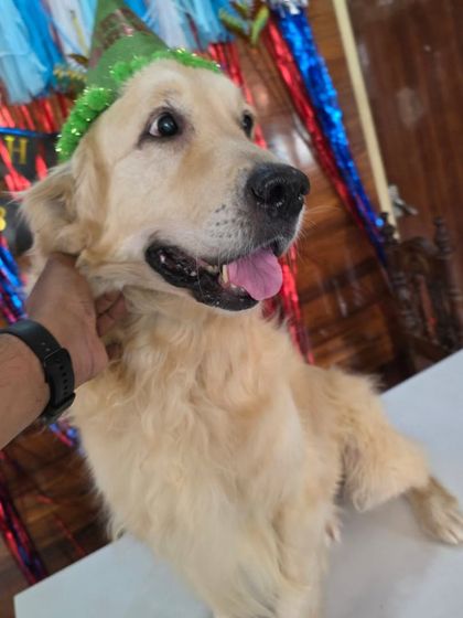 The birthday girl, Jessica, looking beautiful in her party hat.