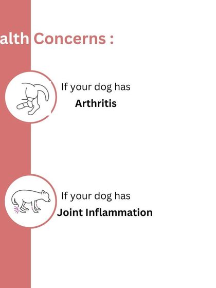 The Barkery by NV - Functional & Health-Specific Treats Joint & Mobility Support photo 15