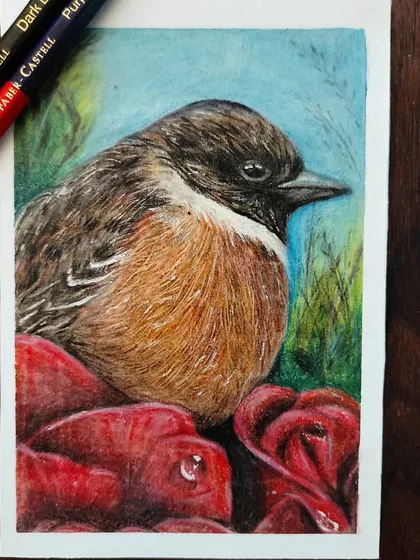 A small, detailed colored pencil drawing of a bird resting on red roses. This piece was an entry for a Faber-Castell contest.