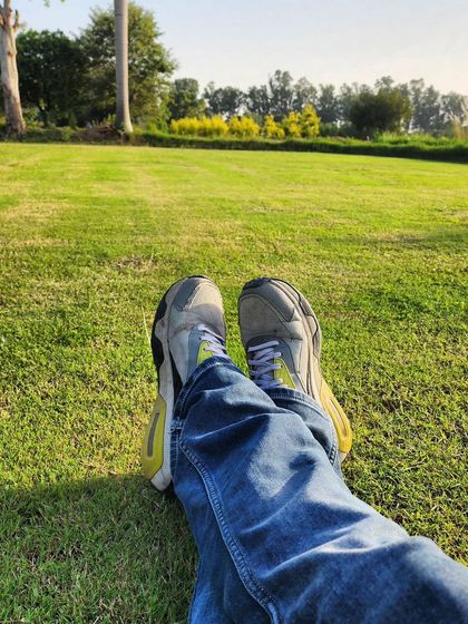 Delhi Gardner - Full-Service Landscaping Premium Lawn & Turf Solutions photo 62