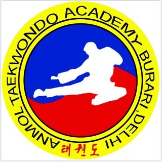 Anmol Taekwondo Academy