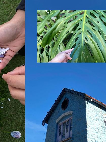 A creative collage playing with scale, showing a hand touching a giant monstera leaf against a blue sky.