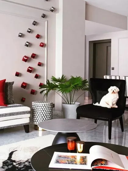 Even the family dog approves of the design. This shot shows the comfortable and inviting atmosphere of the living room, with its mix of textures and a pop of red against the striped sofa.