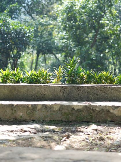 Spaces for Stillness photo 22