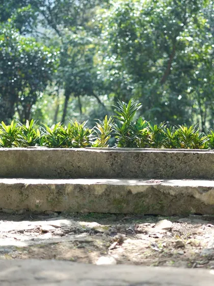 A simple, two-tiered concrete planter filled with greenery, demonstrating how even basic structures can be beautiful in a natural setting.