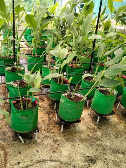 Our Work Process & Maintenance photo 3