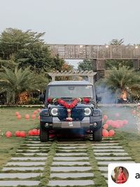 Surprise & Reveal Decorations