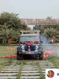 Surprise & Reveal Decorations