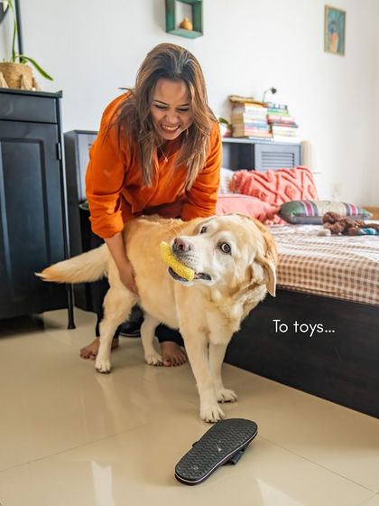 Pawparazzi By Prathima - Pet Milestone Photography Senior Tributes & Golden Years photo 17