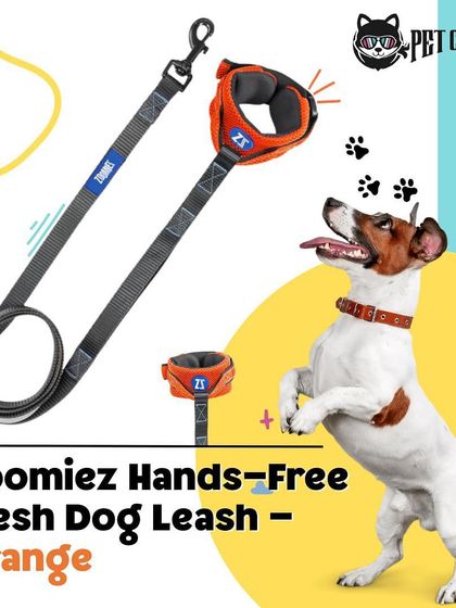 Pet Cartel - Pet Transportation & Dog Walking Professional Dog Walking & Behaviour Guidance photo 3