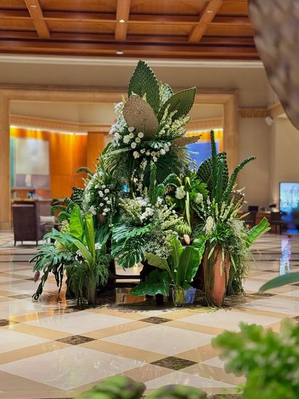 The full green arrangement, a testament to the beauty and diversity of nature's most essential color.