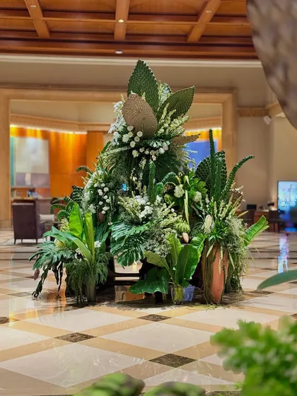 The full green arrangement, a testament to the beauty and diversity of nature's most essential color.