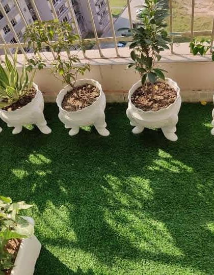 Sqft Farm - Garden & Landscape Design and Setup Balcony & Terrace Makeovers photo 14