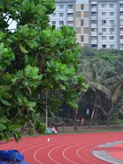Our bright red synthetic track stands out against the lush green backdrop of the park. It is a professional-grade surface perfect for everything from casual jogging to serious athletic training, available for our members to use.