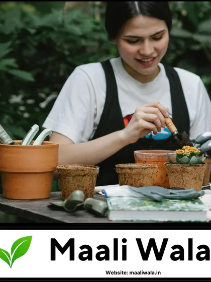 I provide hands-on care for all your plants, whether they are in large garden beds or small balcony pots. Here, I am carefully potting a flowering plant, ensuring it has the right soil and a good start for healthy growth.