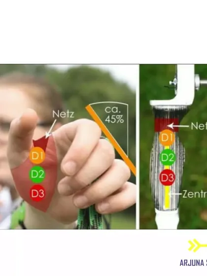 A diagram showing the importance of a proper grip. How you hold the bow directly impacts the arrow's flight, and we teach the correct pressure points for maximum consistency.