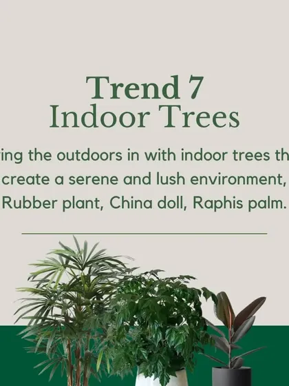 Trend 7: Indoor Trees. Create a serene, lush environment by bringing the outdoors in. Large plants like the Rubber Plant, China Doll, or Raphis Palm can transform a room.