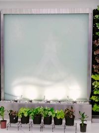 Interior Plantscaping