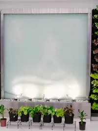 Interior Plantscaping