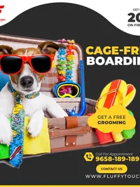 Pet Boarding