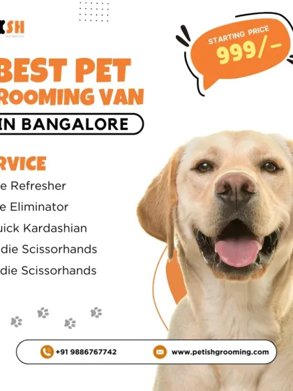 Petish Grooming - Mobile Grooming for Dogs & Cats Special Offers & Festive Deals photo 22