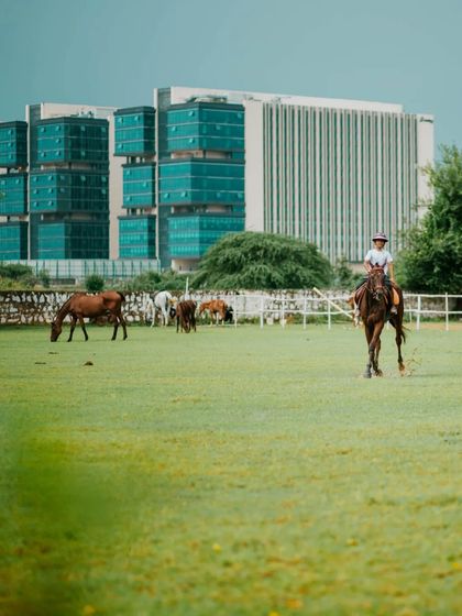 Our Venue & Gentle Animals photo 4