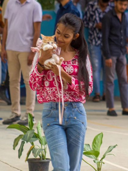 Zigly - Veterinary Services Events & Special Offers photo 16