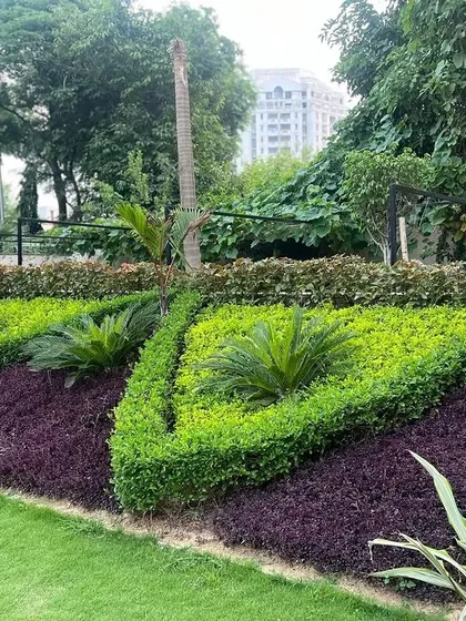 We create intricate garden designs using contrasting foliage. This sloped garden bed features geometric patterns formed with bright green and deep purple groundcover, showcasing our precision and horticultural artistry.