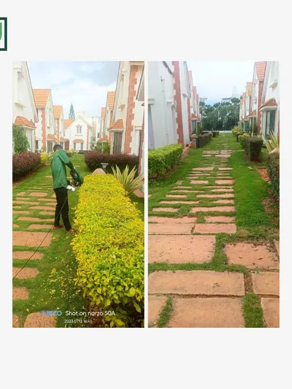 Pathways should be clear and welcoming. For this client in Jakkur, I trimmed back the overgrown hedges and neatened the lawn, completely transforming the look and feel of this walkway.